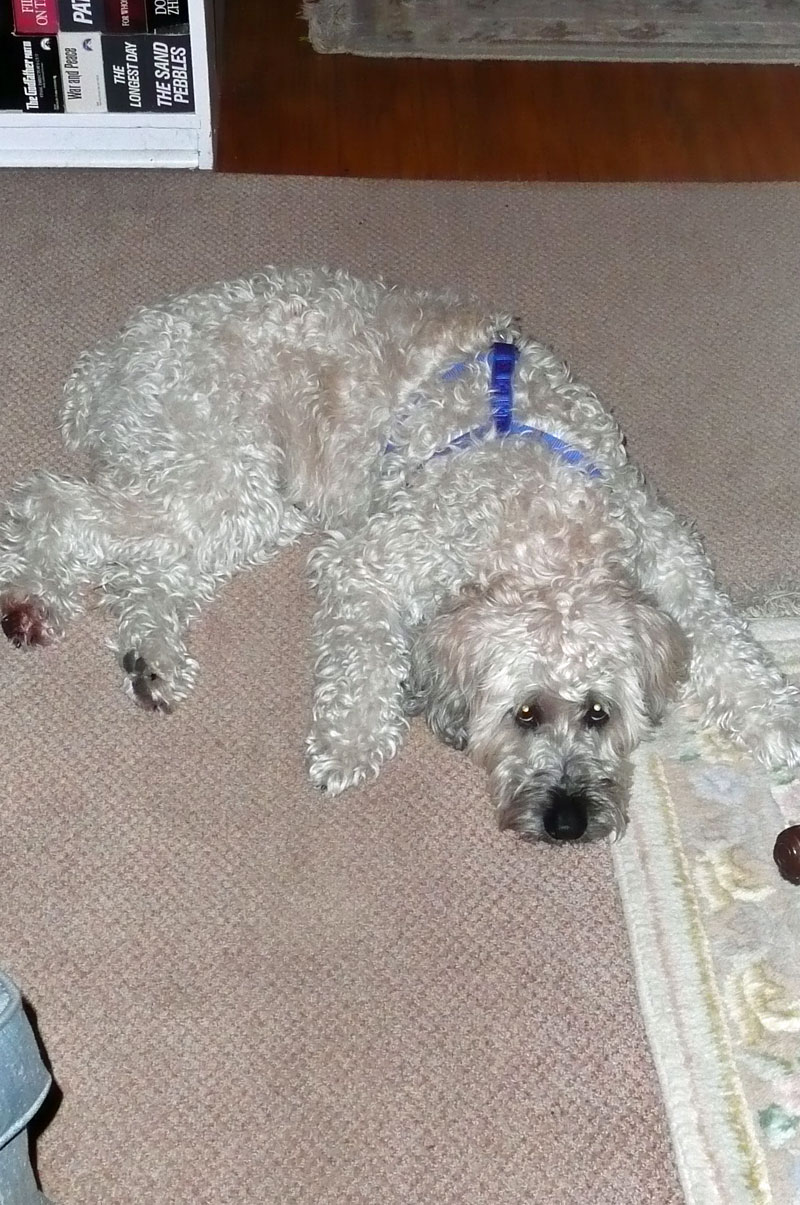 Greece 2008 Fiona 048