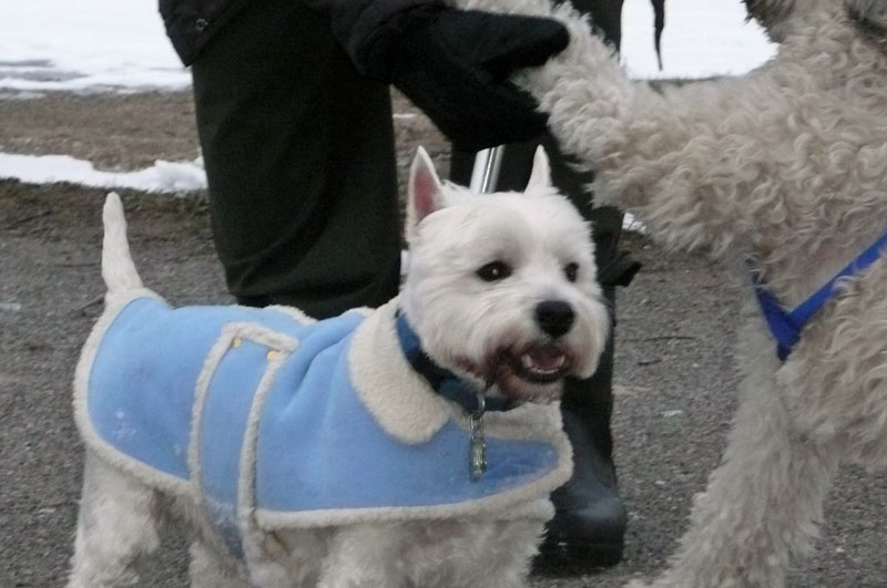 Greece 2008 Fiona 058