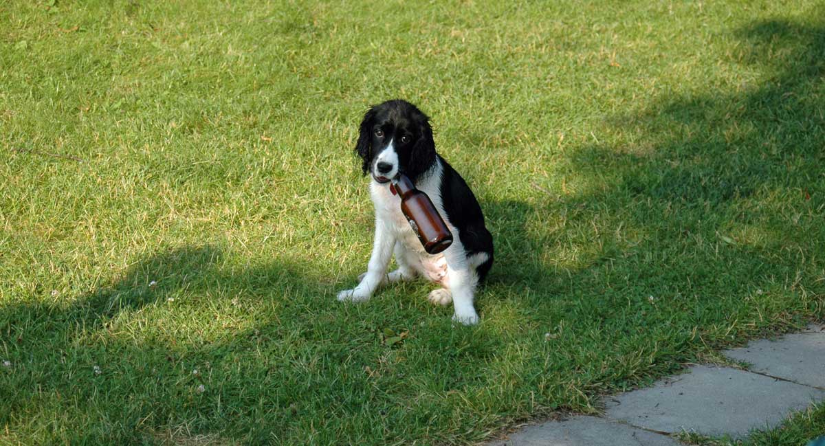 Nicky summer 2006 00113