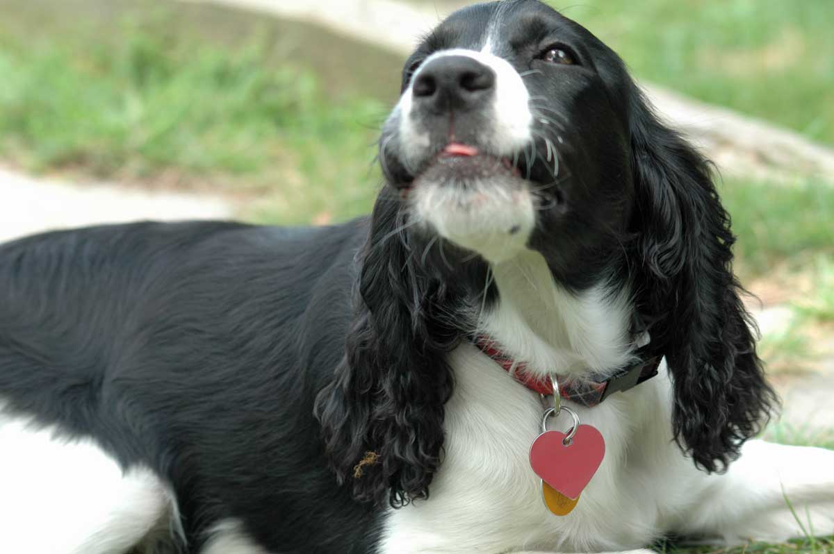 Nicky summer 2006 00136