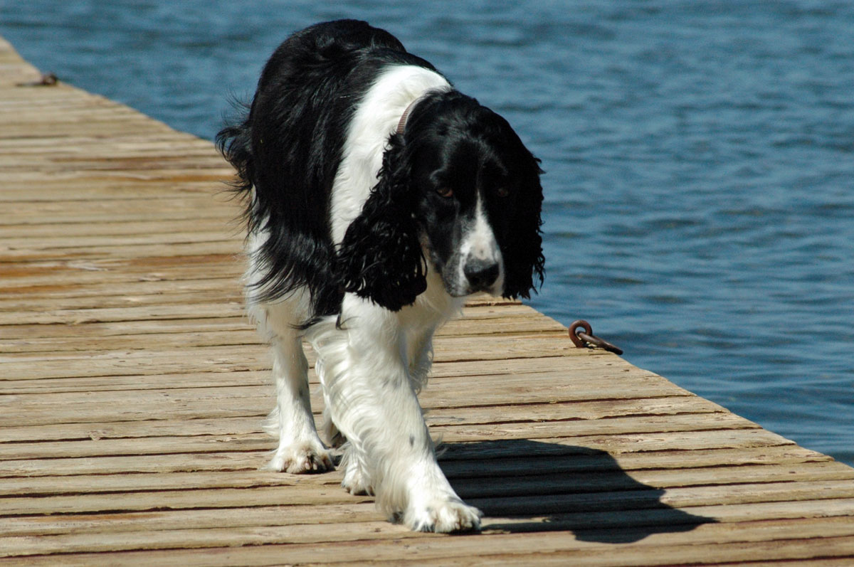 Nikon D70 20070806 148