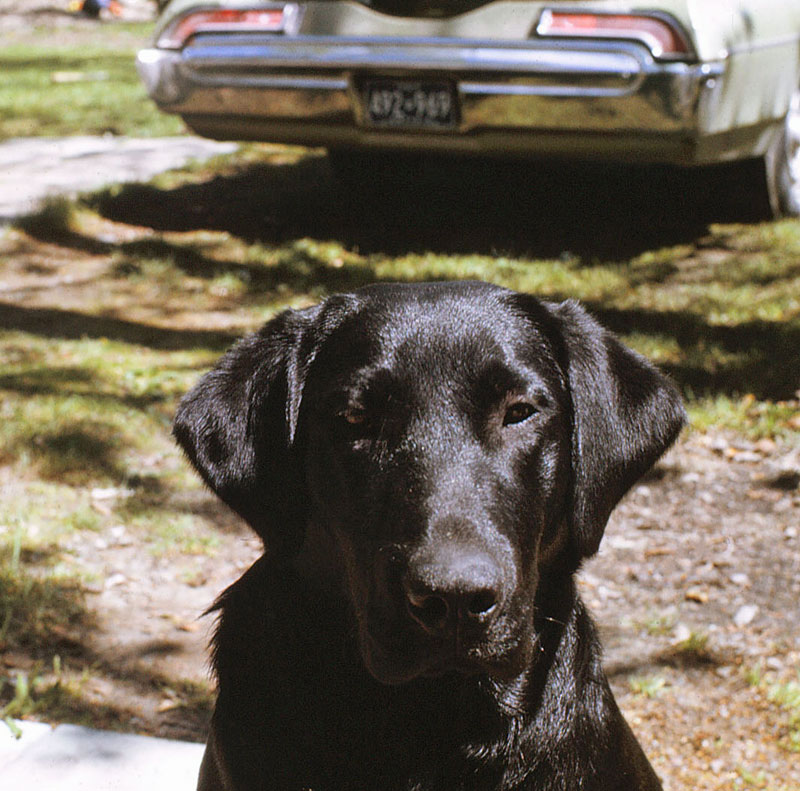 Photos 401 600 Monaghan 2008 12 09  458
