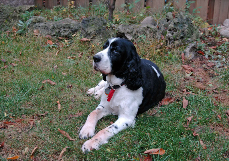 Photos 801 1000 Monaghan 2004 10 27  966