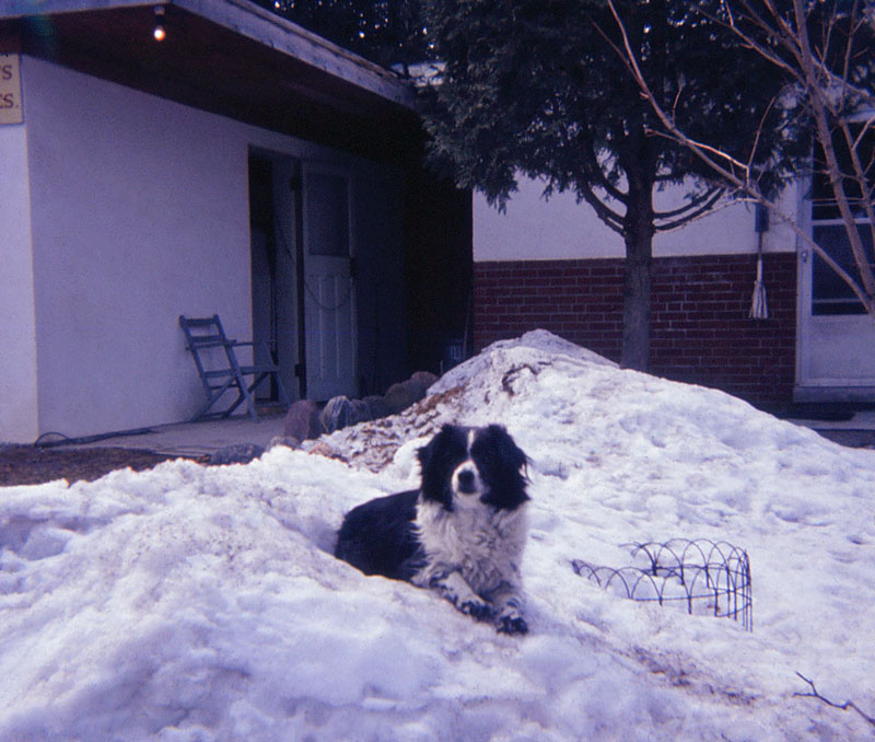 Photos 801 1000 Monaghan 2008 12 10  930