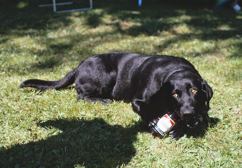 Photos 201 400 Monaghan 2008 12 07jpg  275