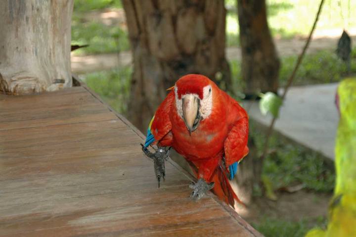 Costa Rica
