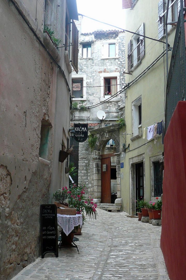 P1010881