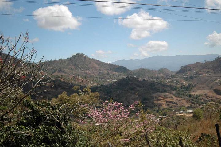 EPV0365