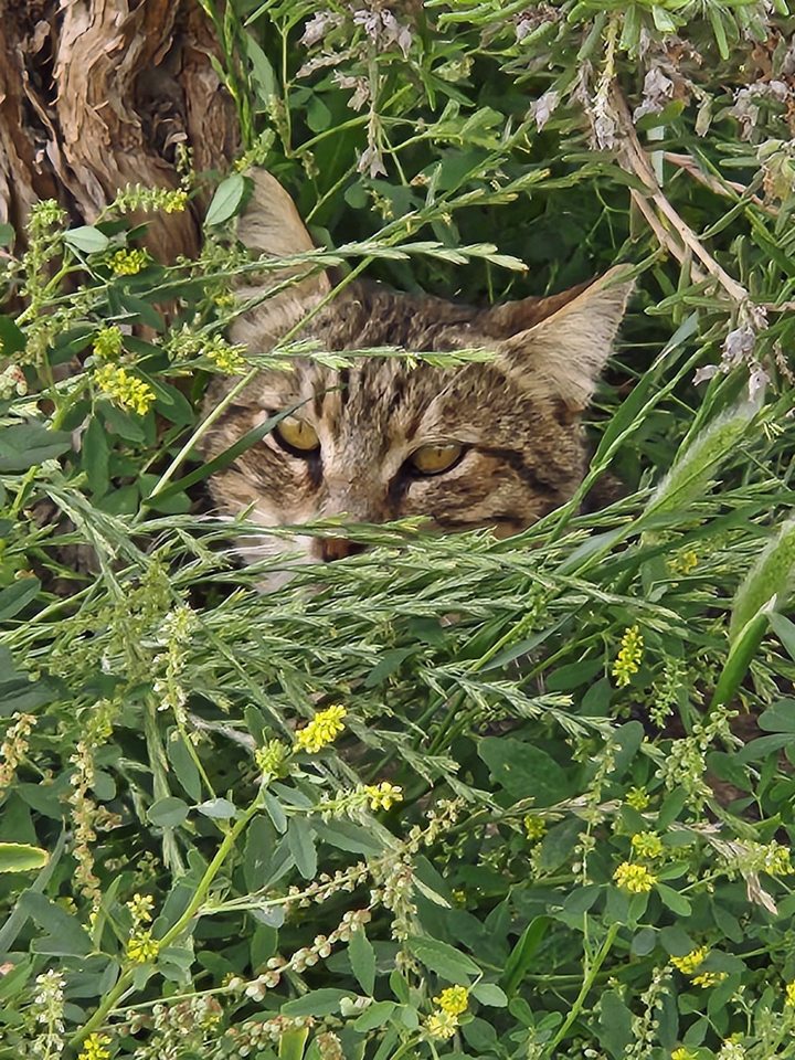 Image00029
