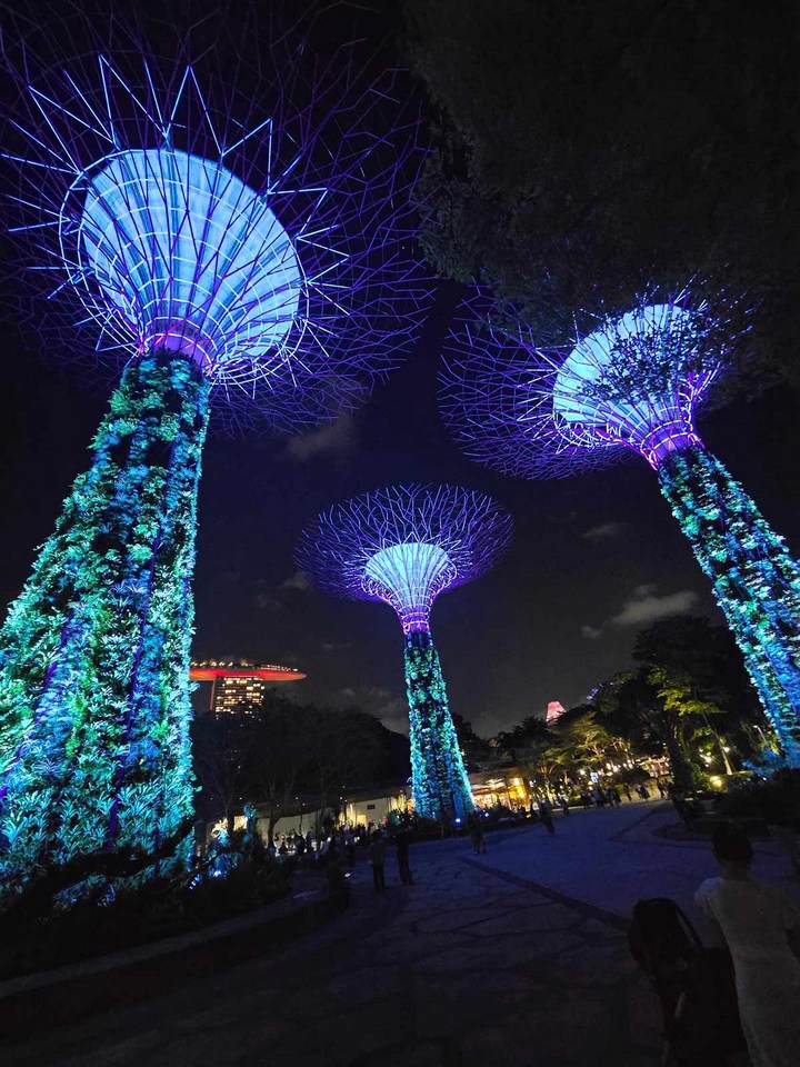 Singapore 2025 04