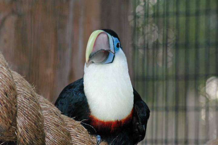 Captured 2004 10 18 00063